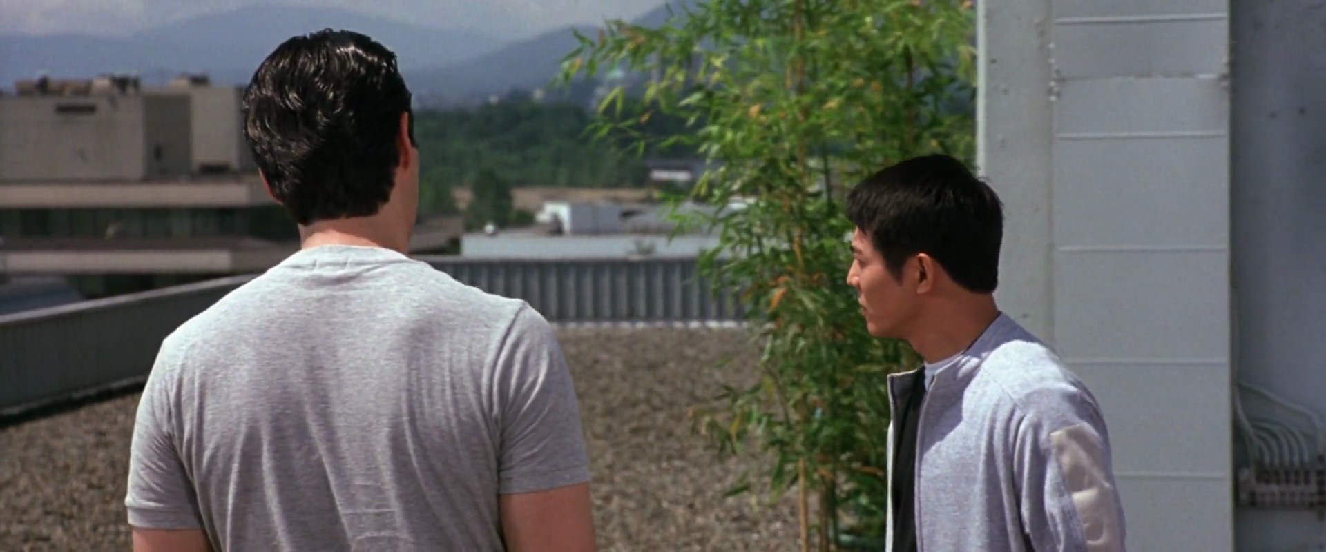 Shot 985