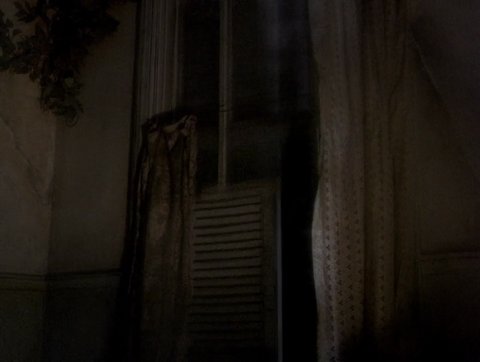 Shot 491