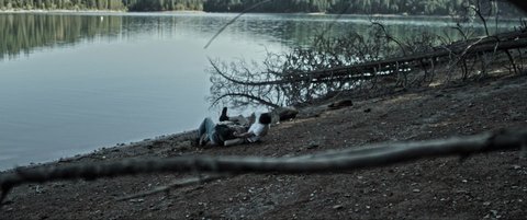 Shot 905