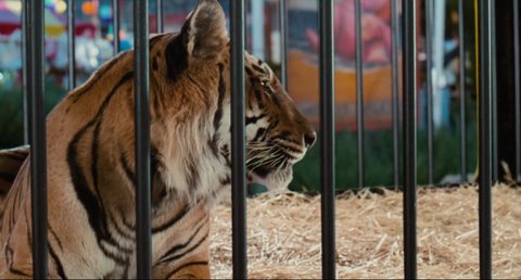 Shot 792