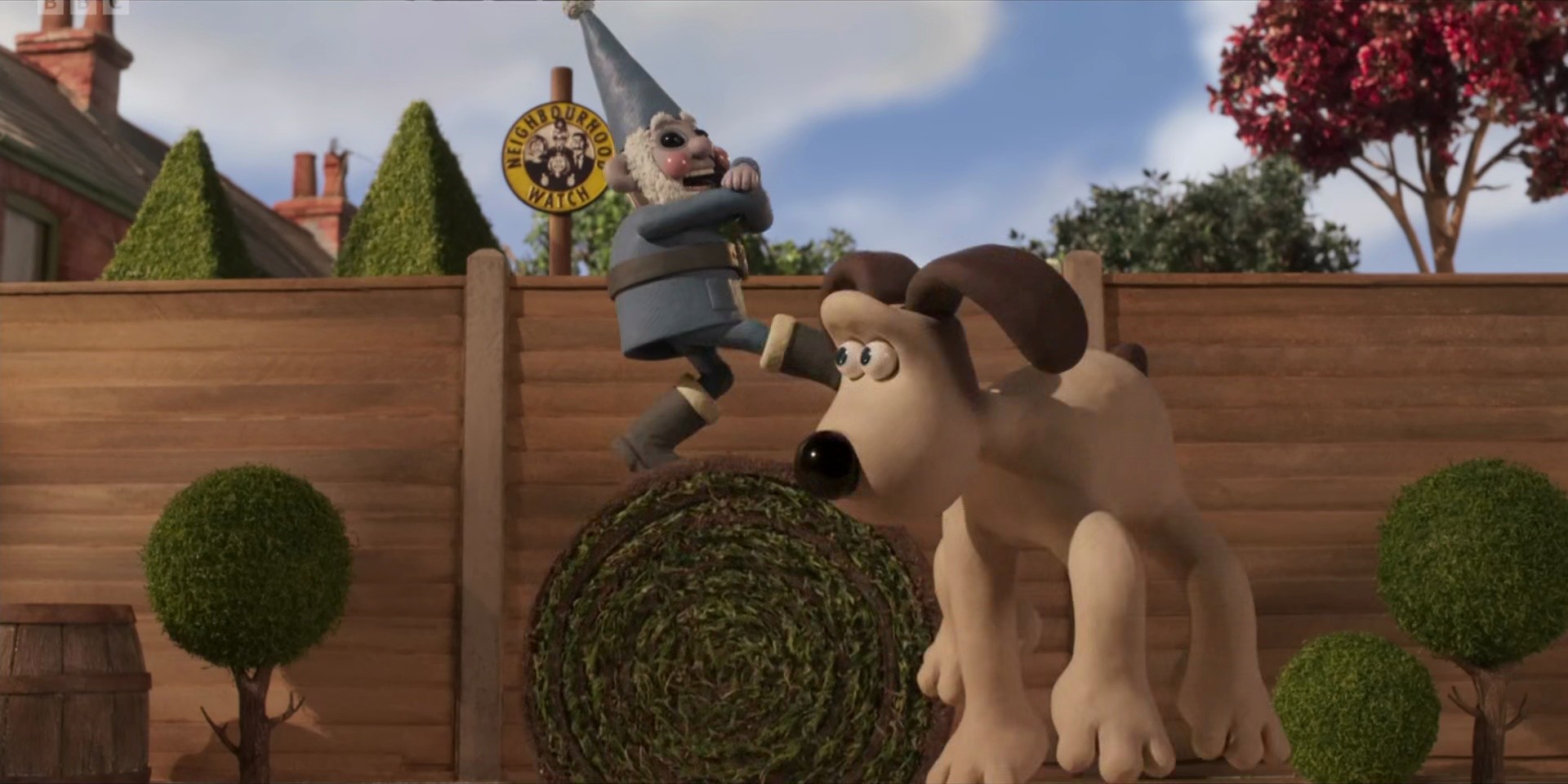 Shot 529