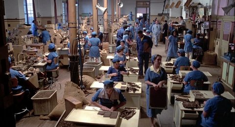 Shot 203