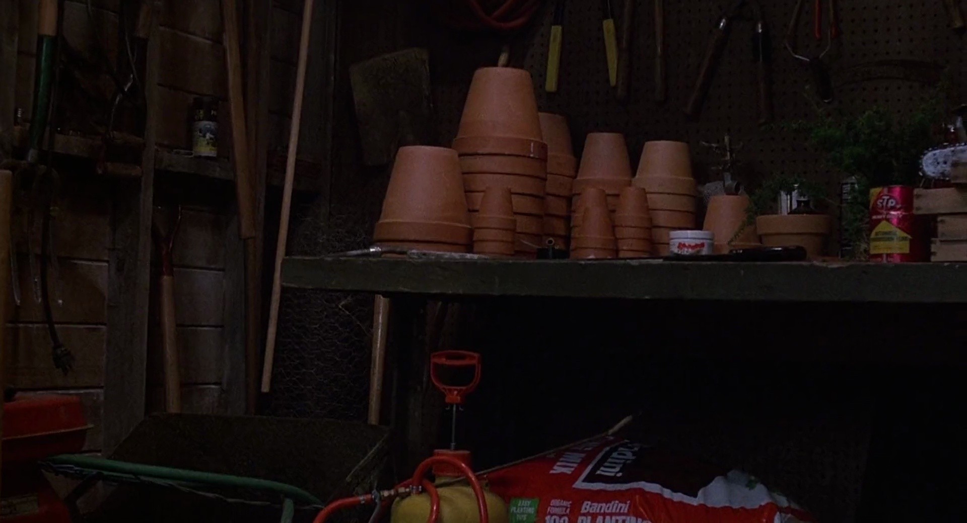 Shot 1621