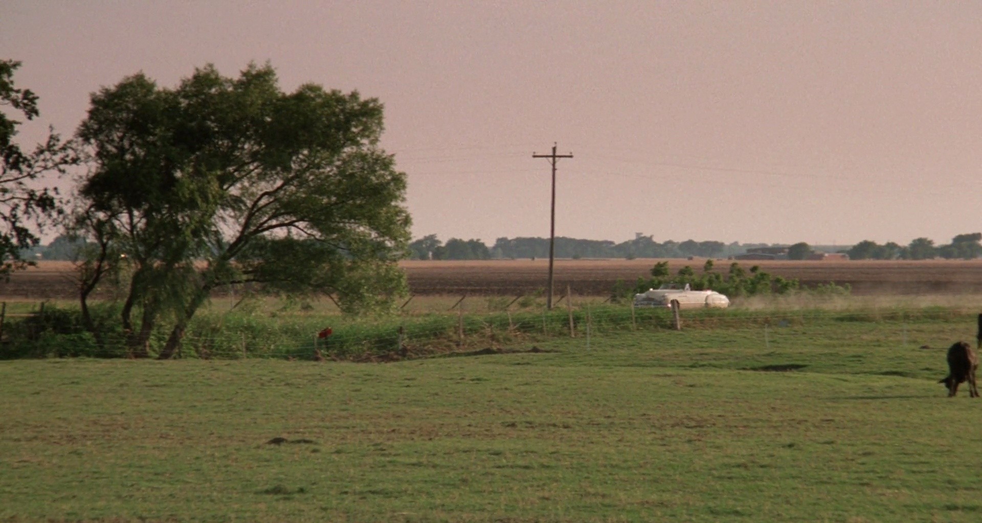 Shot 584