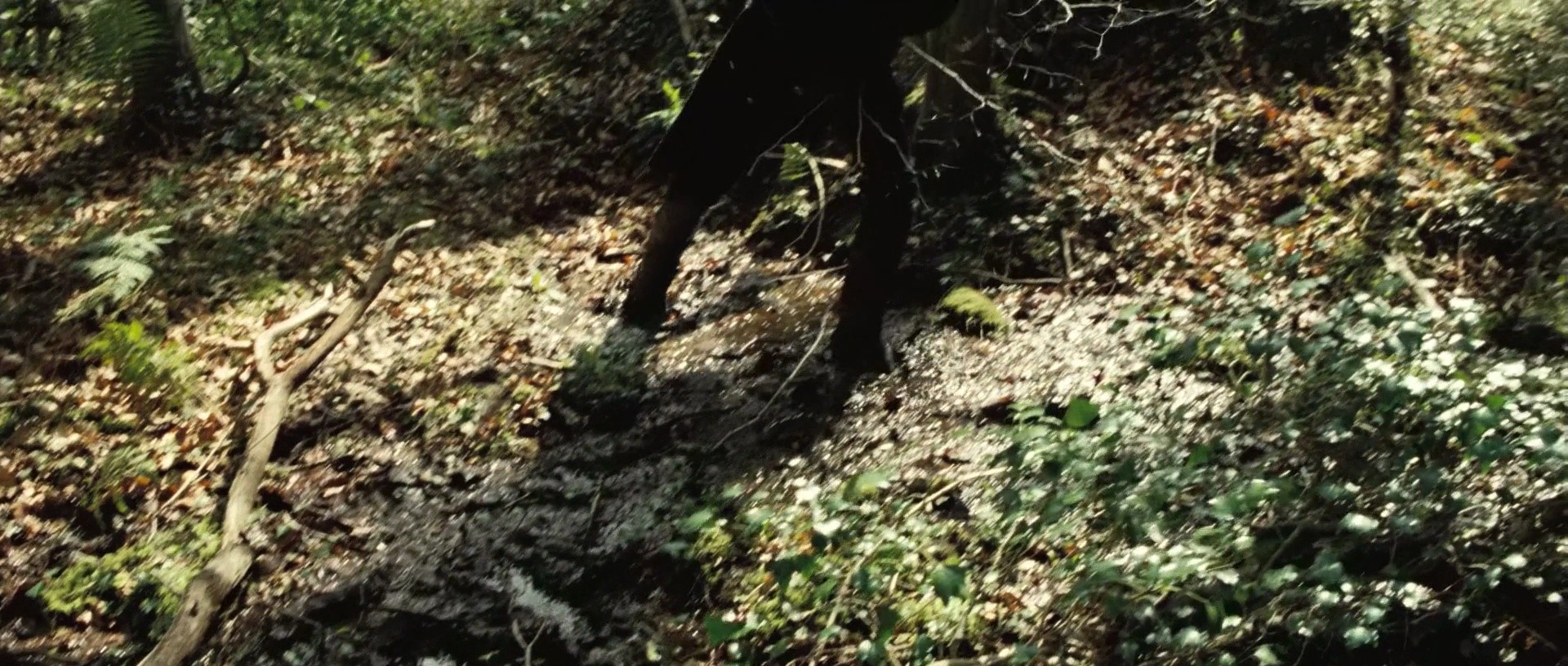 Shot 330