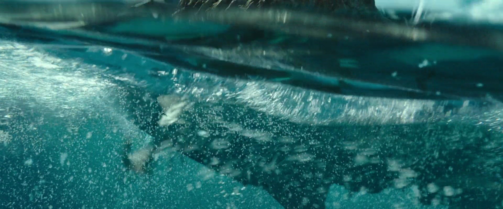 Shot 1598