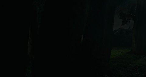 Shot 1075
