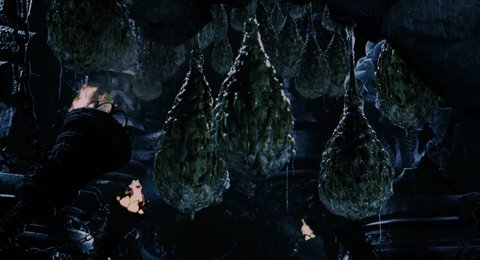 Shot 2188