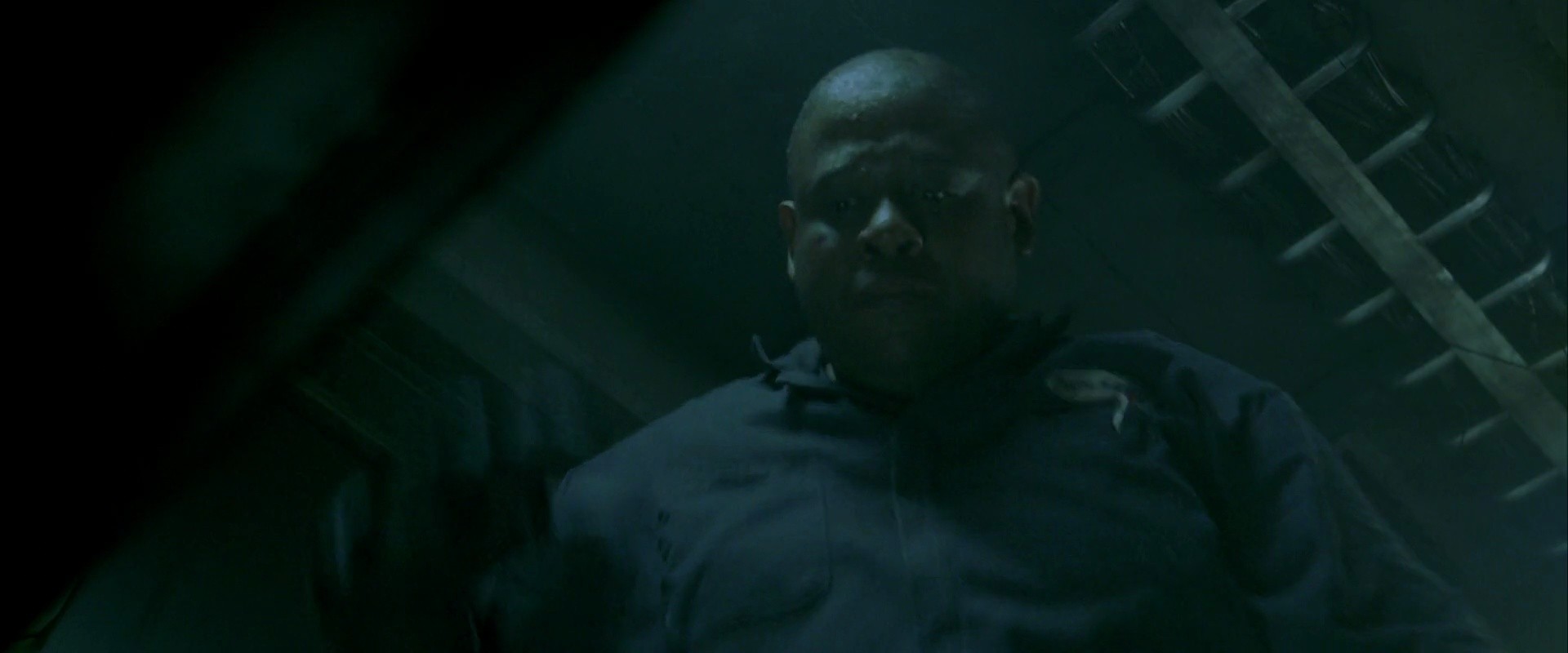 Shot 1501