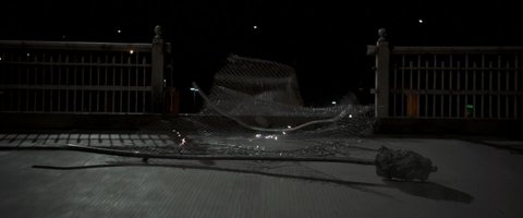 Shot 2007