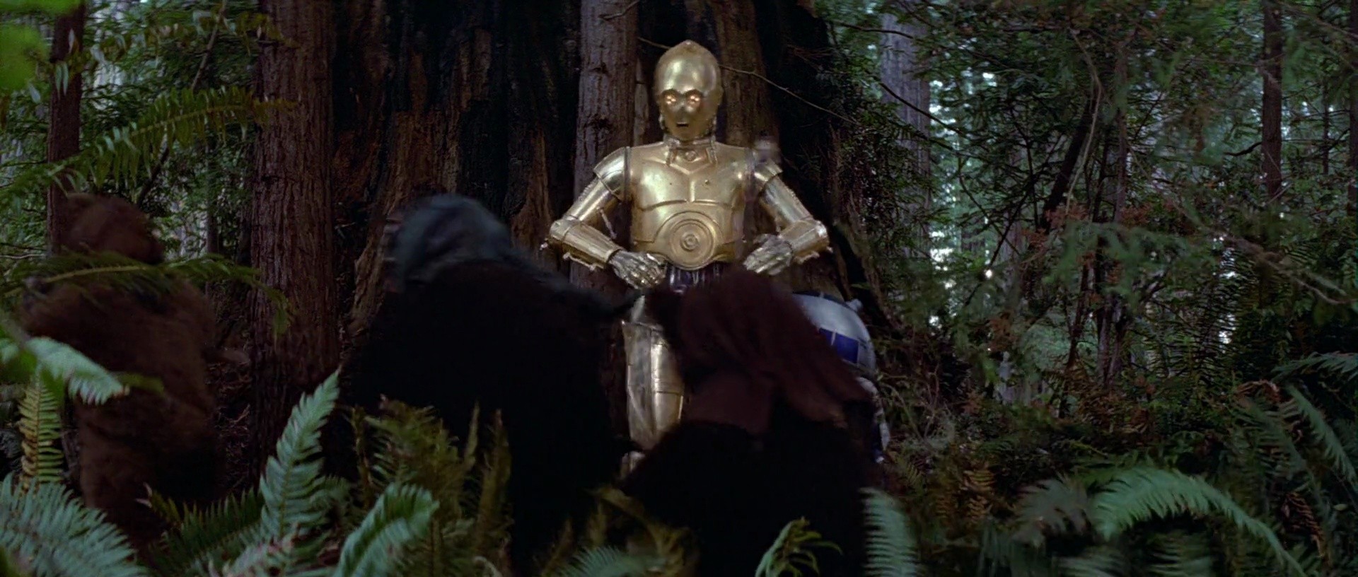 Shot 1656
