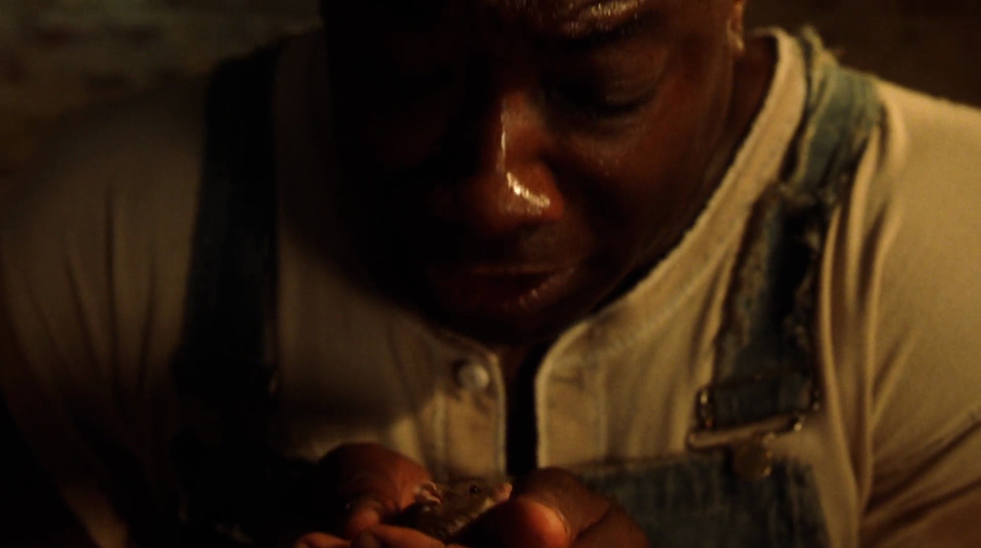 Shot 1371