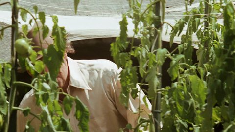 Shot 1183