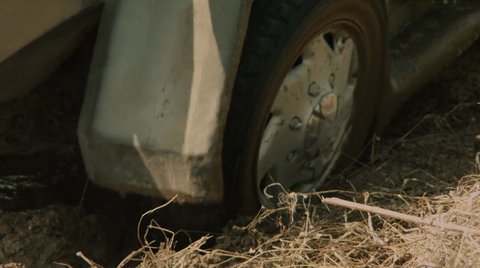 Shot 1446