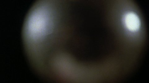 Shot 224