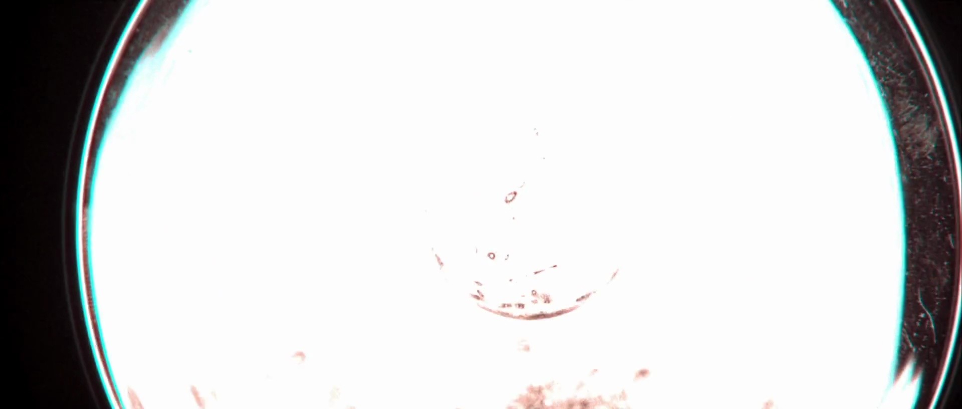 Shot 309