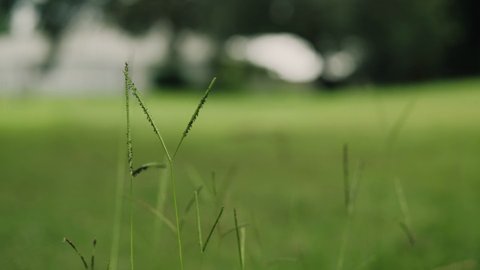 Shot 272