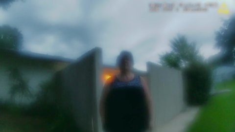 Shot 271