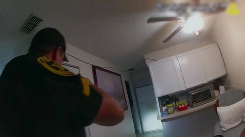Shot 340