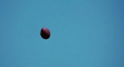 Shot 1485