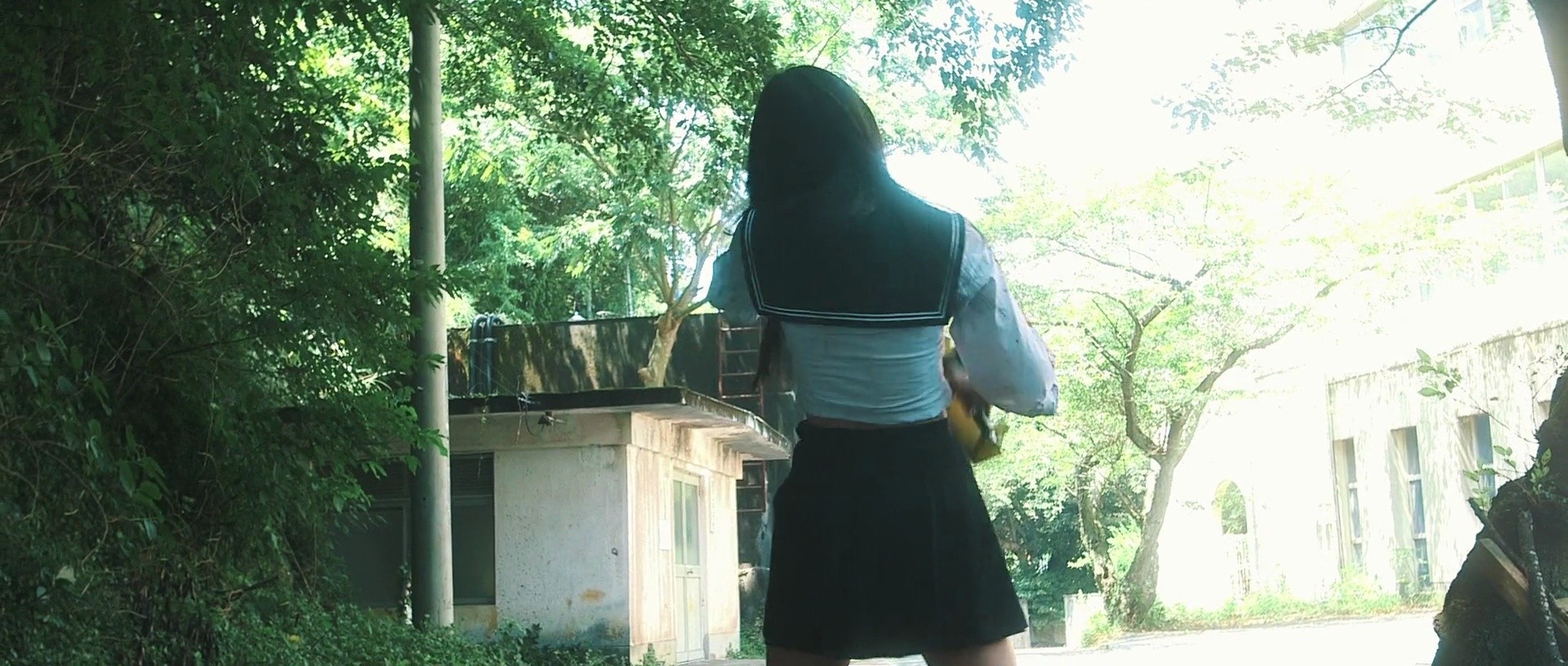 Shot 294