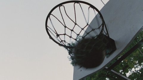 Shot 282