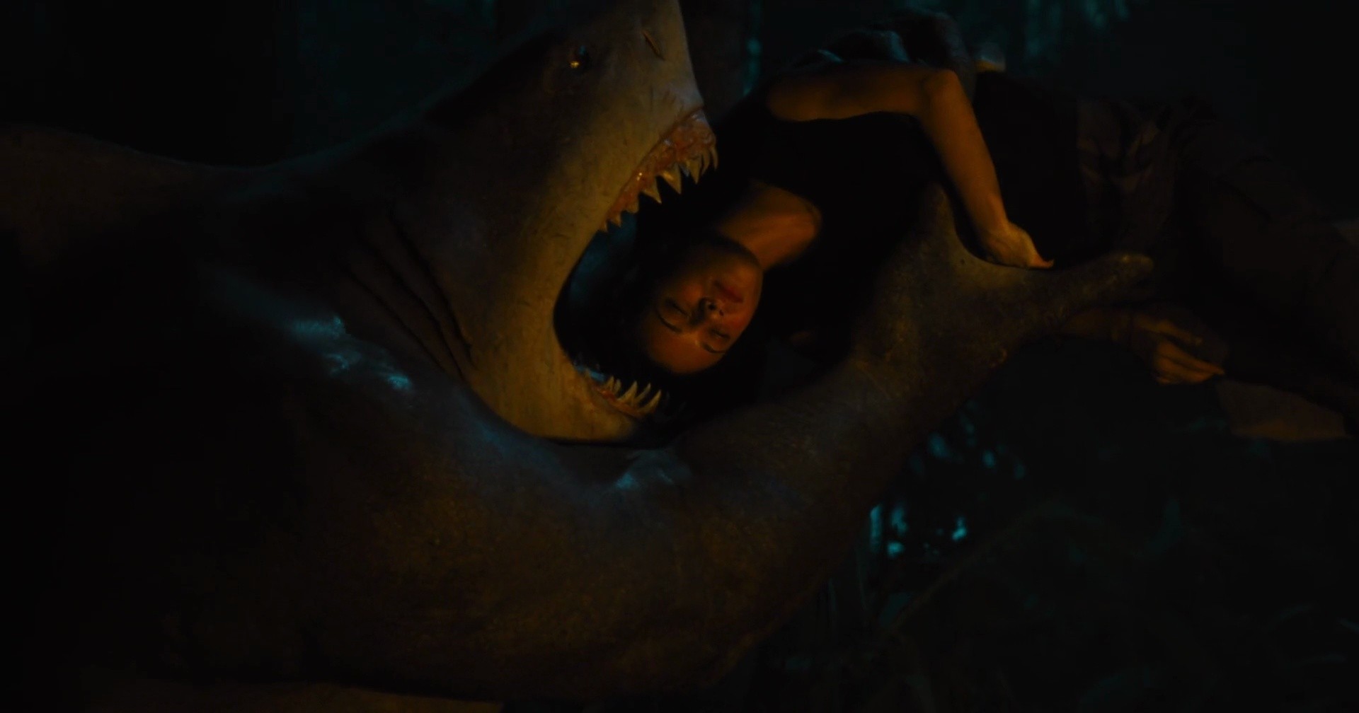 Shot 608