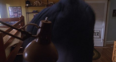 Shot 277