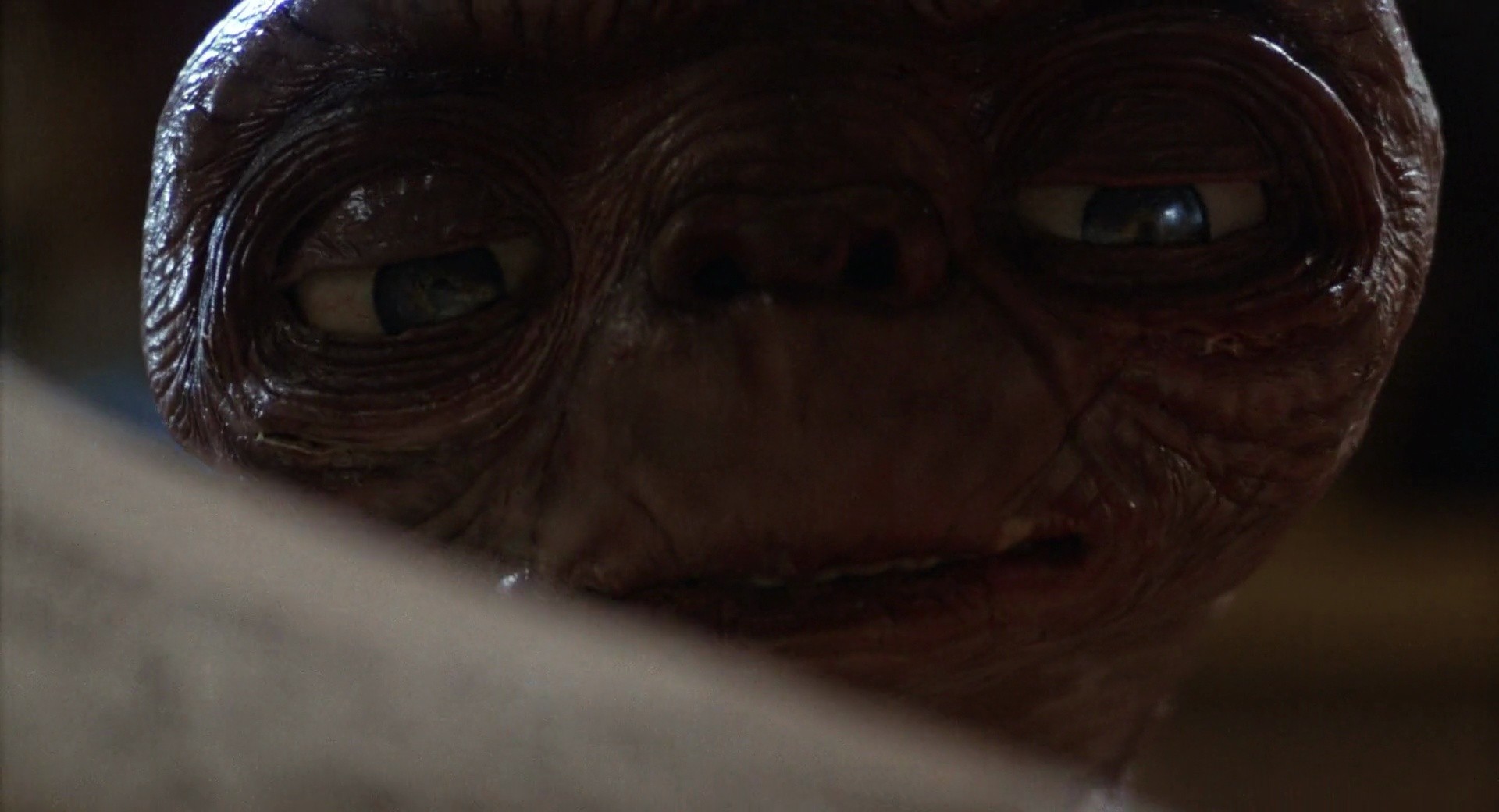 Shot 510