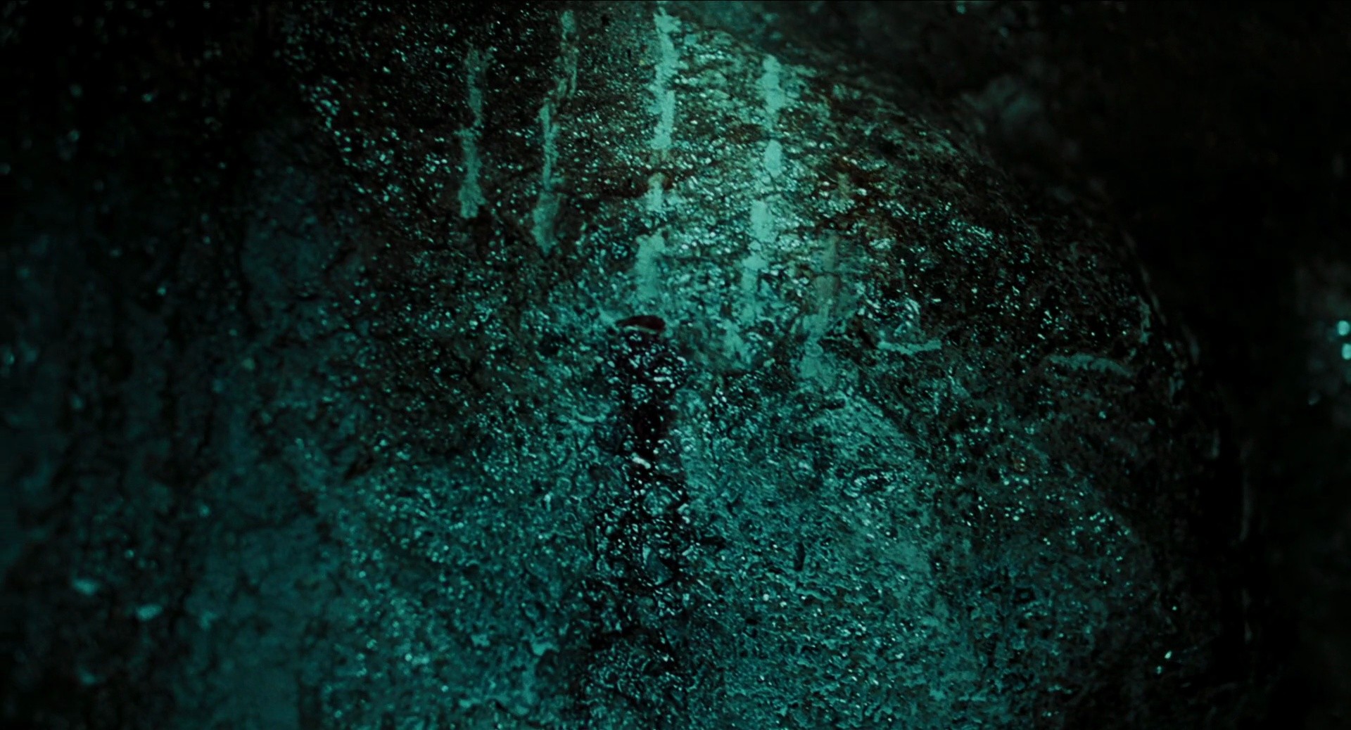Shot 1205