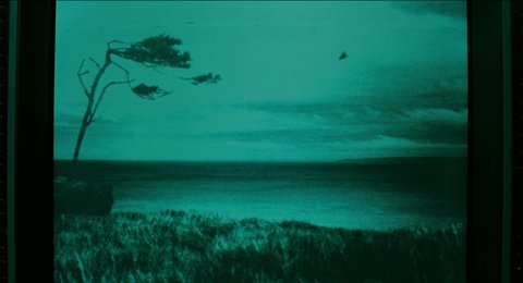 Shot 506