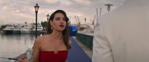 Shot 501