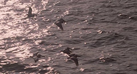 Shot 1427