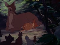 Shot 31