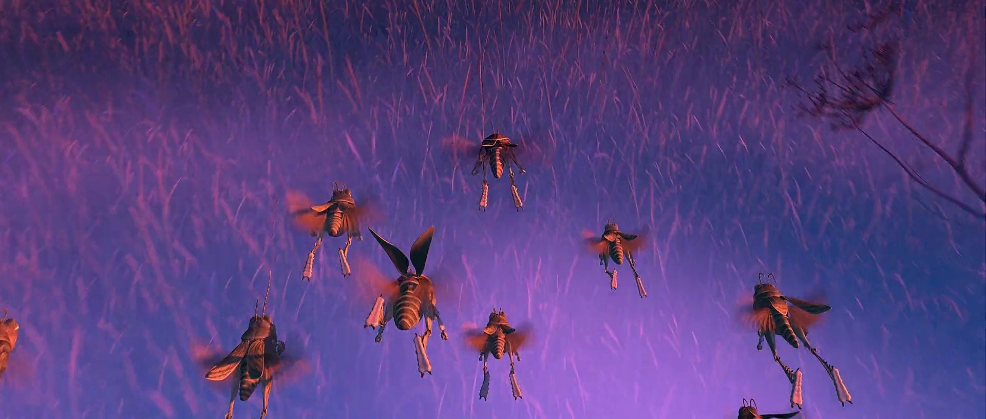 Shot 1138