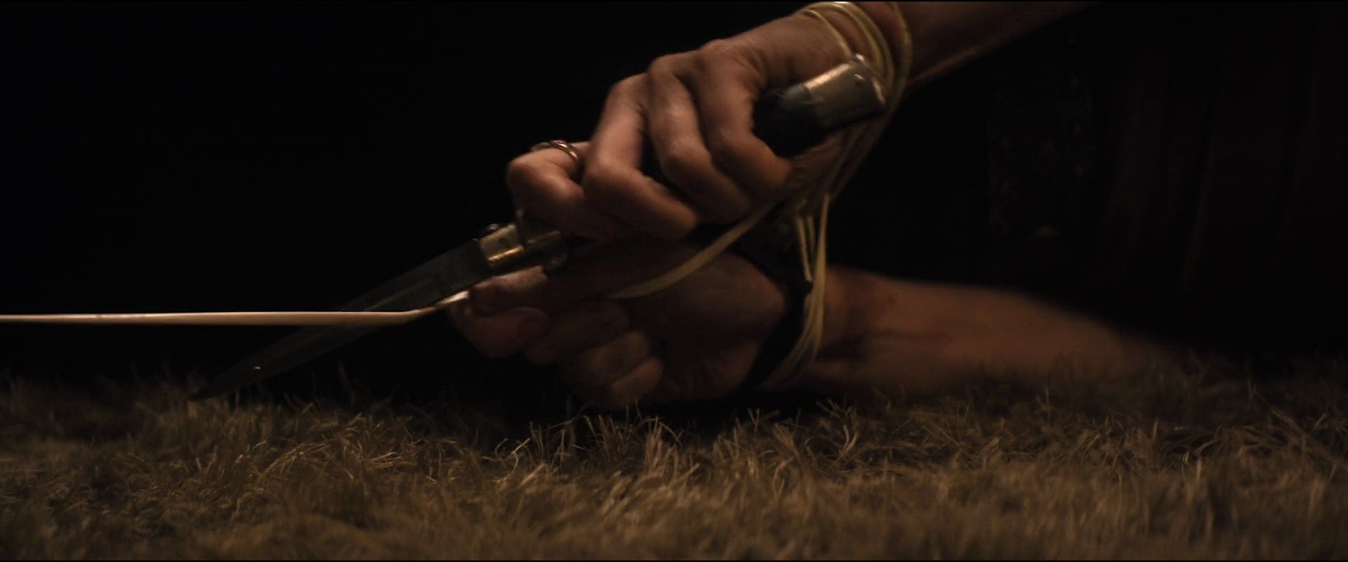 Shot 1163