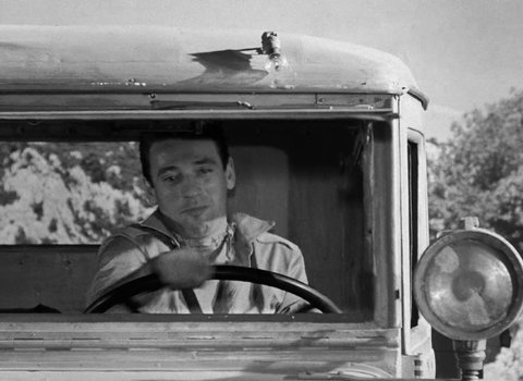 Shot 1954