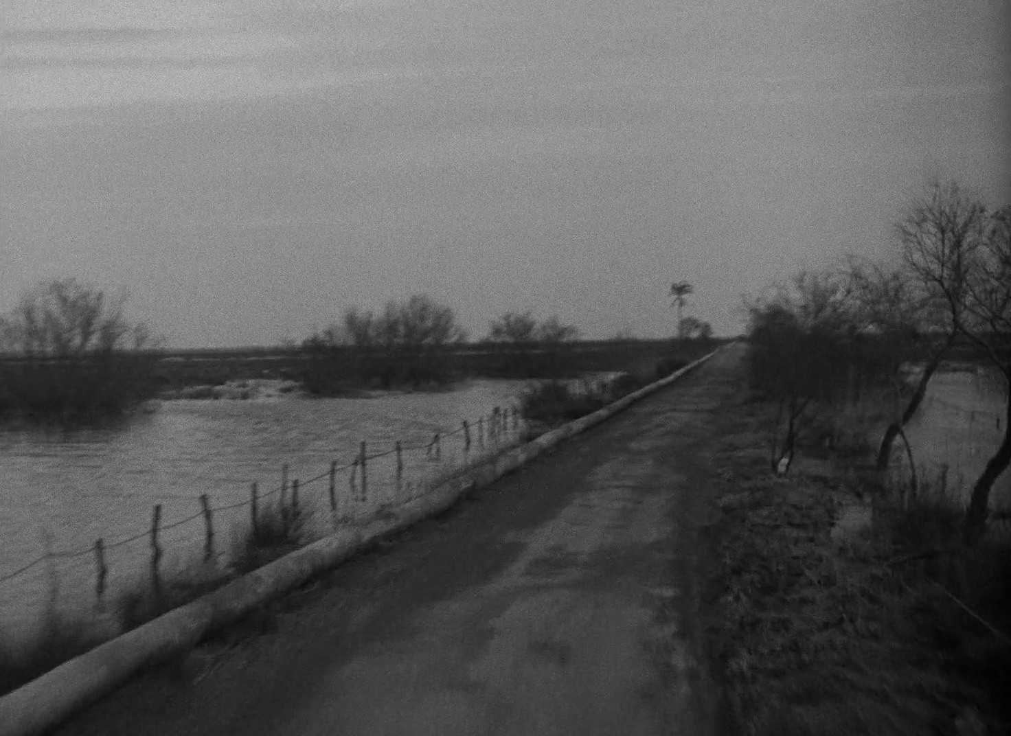 Shot 940