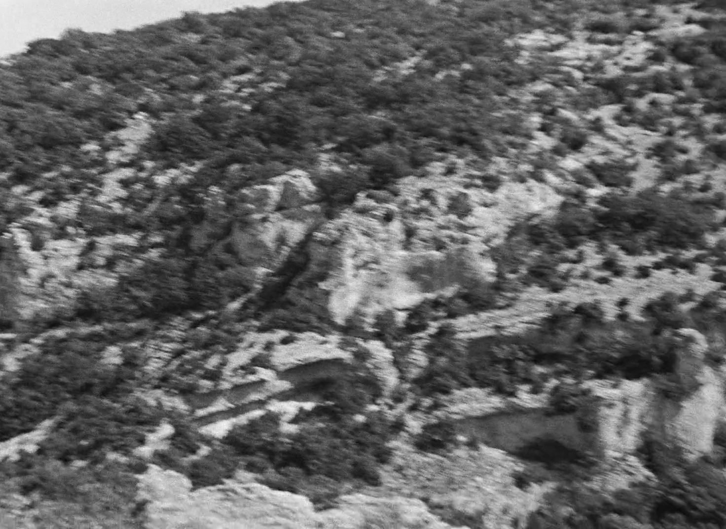 Shot 1962