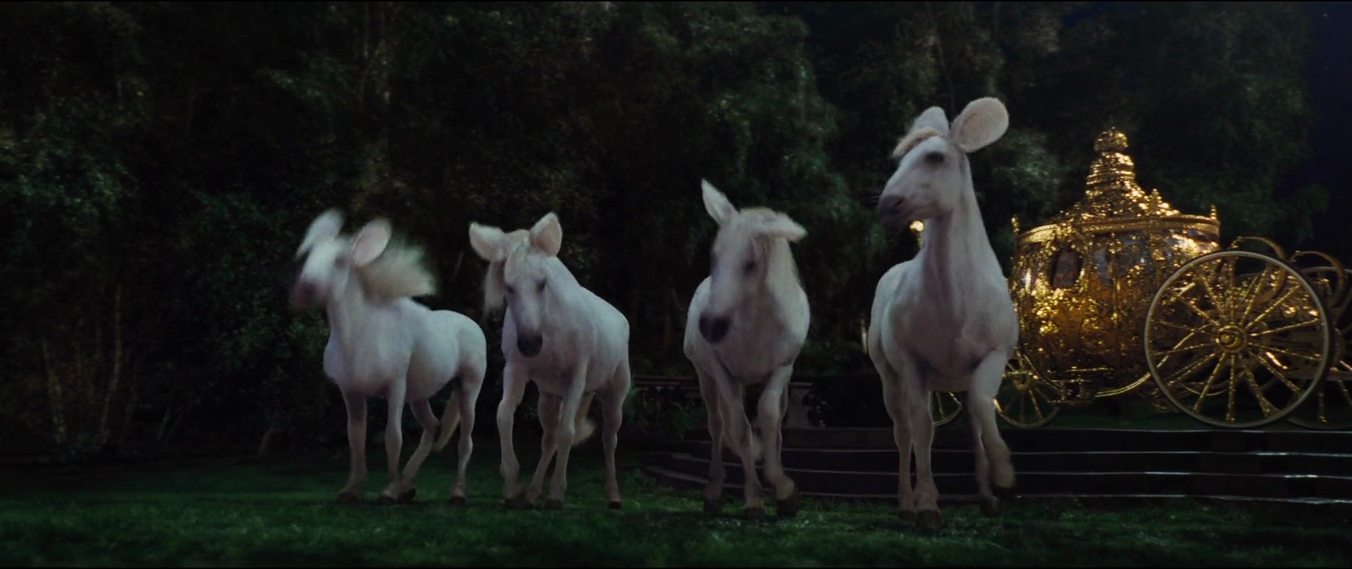 Shot 751