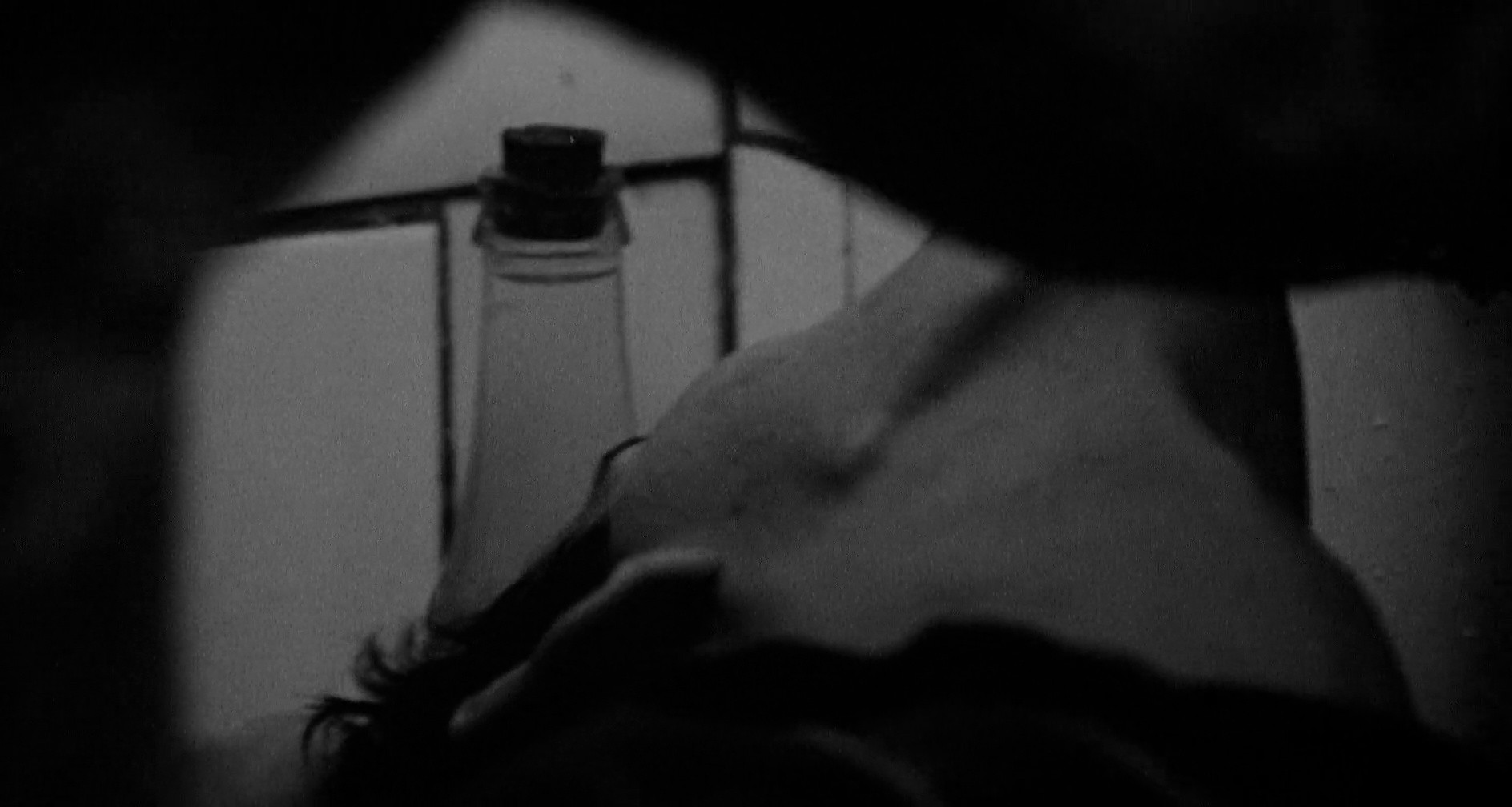 Shot 1231