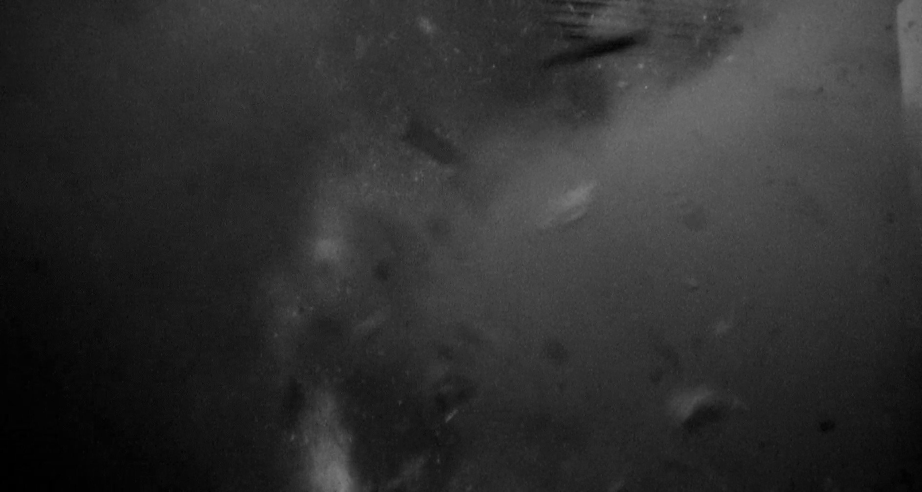 Shot 473