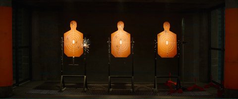 Shot 501