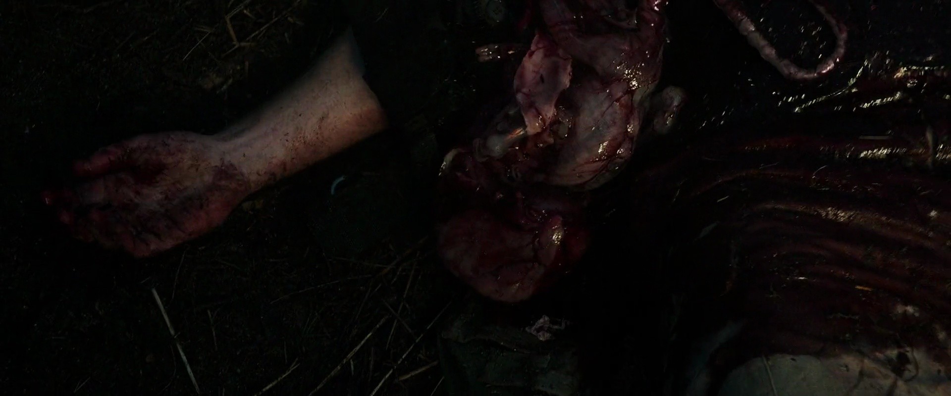 Shot 884