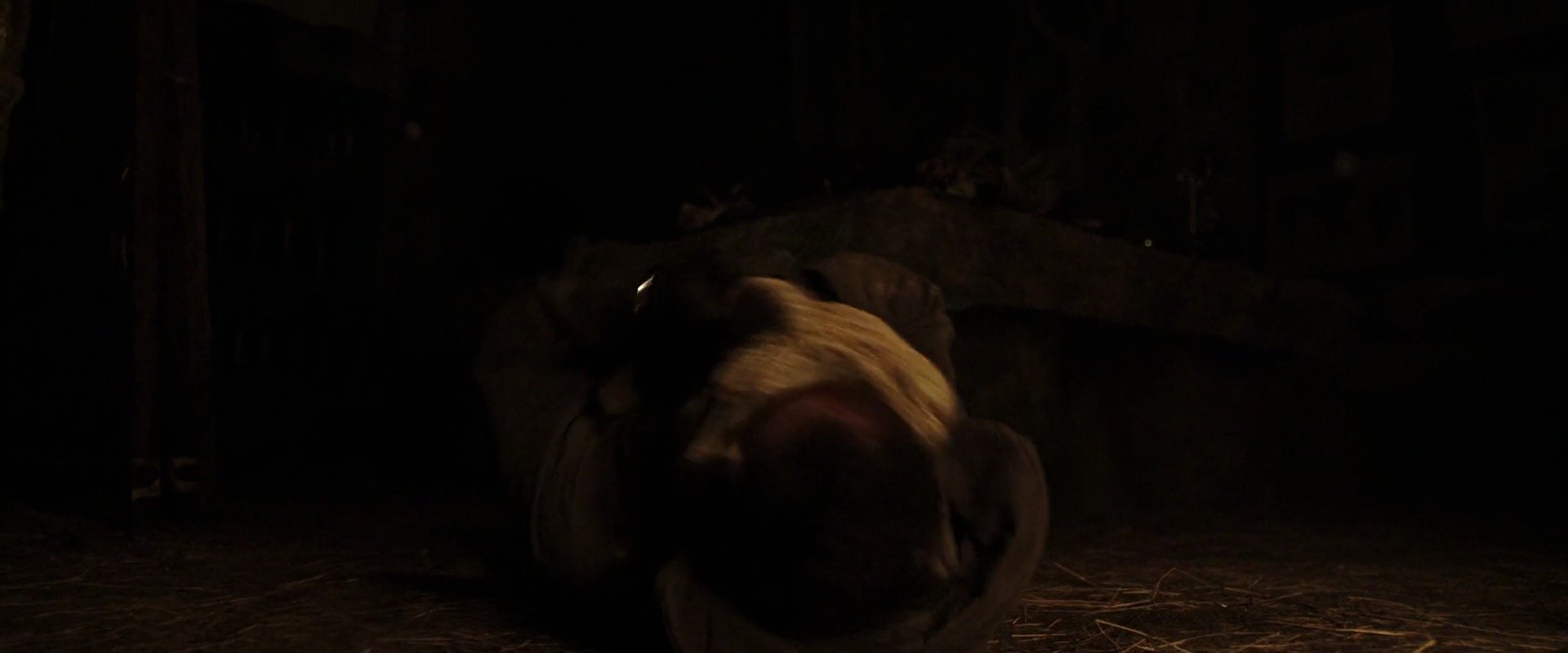 Shot 1397