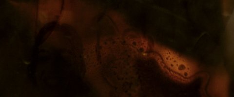 Shot 1842