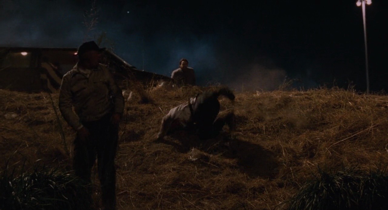 Shot 803