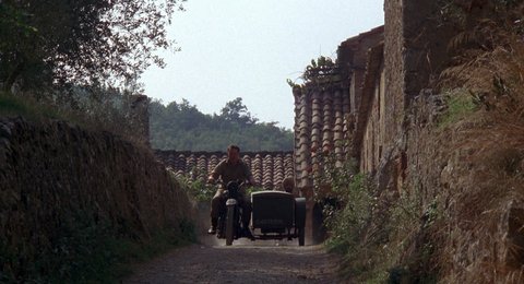 Shot 534