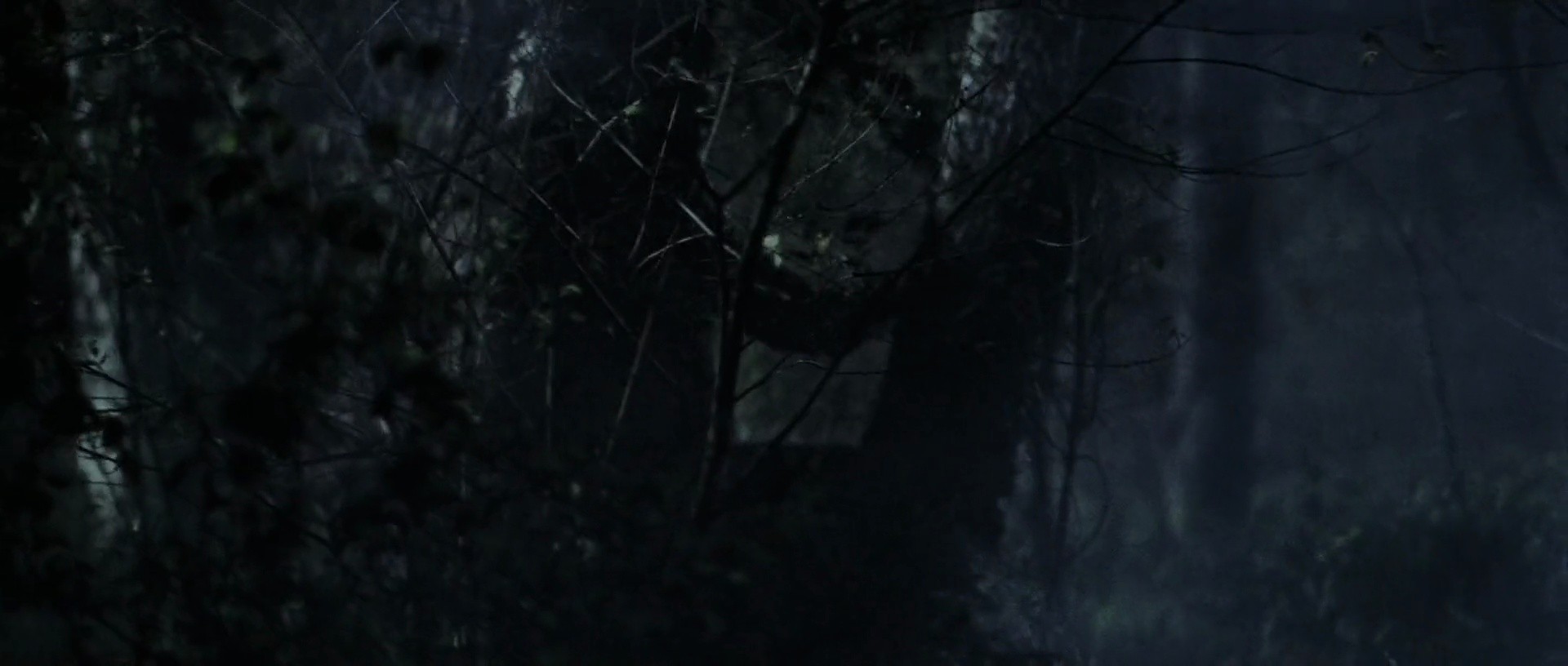 Shot 308