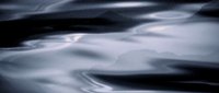 Shot 5